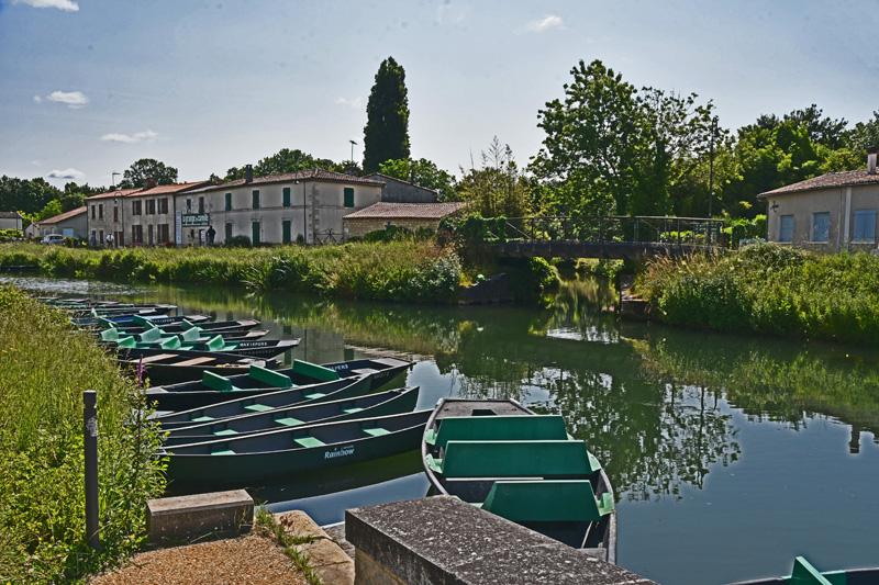 min 2025 06 08 Marais Poitevin 175